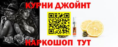 гашик Будённовск