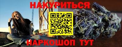 гашик Будённовск