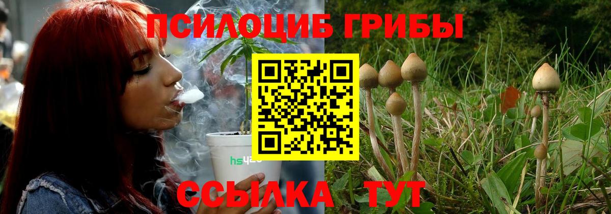 купить наркоту  Вход с VPN  Рыбинск  Галлюциногенные грибы Magic Shrooms 
