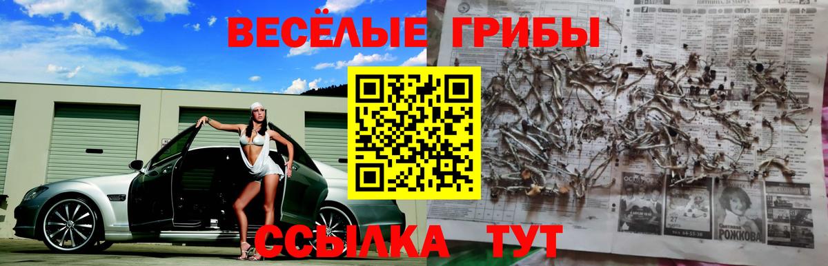 Псилоцибиновые грибы Magic Shrooms Рыбинск